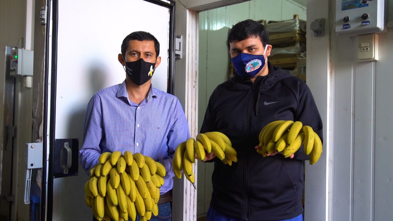 Supermercados Stock apoya a productores con  la compra de 25.000 kilos de bananas