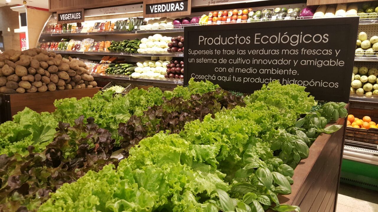 Sistema de cultivo innovador y amigable con el medio ambiente llegó al Superseis